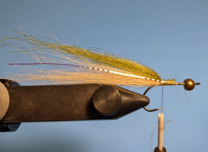 Back Half Baitfish - Step 5