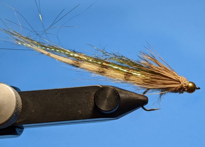 Back Half Baitfish - Tan Olive