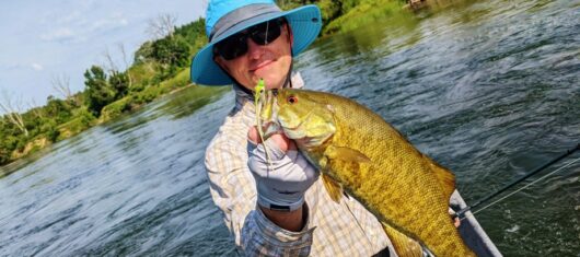 Slider - Smallmouth Bass (921x691)