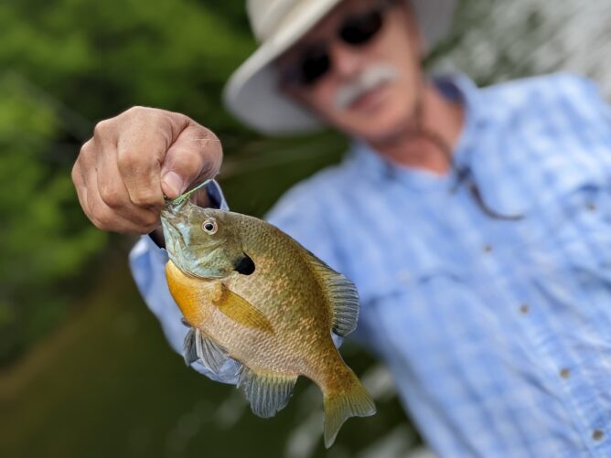 Fly Fishing for Bluegill, Panfish, Bass on Northern Michigan Lakes