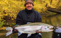 Fly fishing for fall steelhead in the Manistee River near Traverse City Michigan