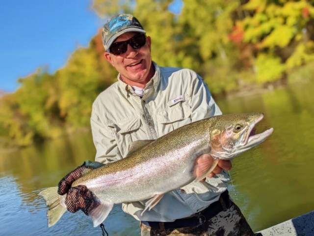 Gallery - Early Fall Steelhead