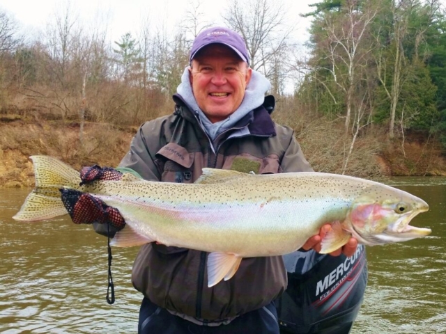 Gallery - Late Winter Steelhead