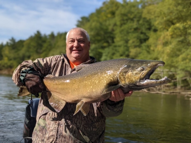 Gallery - Salmon on the Manistee in September