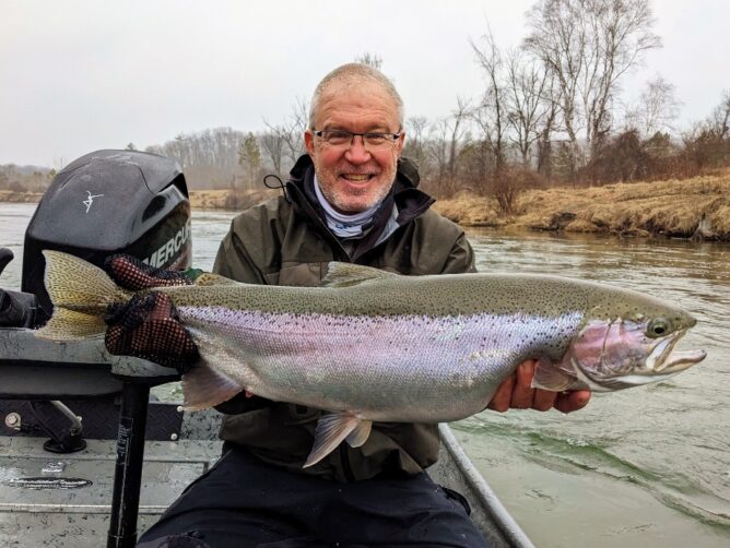 Twenty Inch Chubby - Steelhead