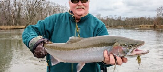 Slider_Fall_Steelhead_25